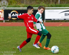 TSV Weilheim E2-Junioren vs. SGM Neckartenzlingen u. a.