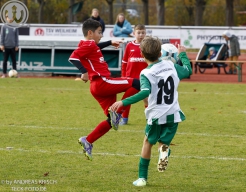 TSV Weilheim E2-Junioren vs. SGM Neckartenzlingen u. a.