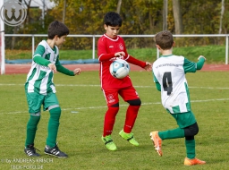 TSV Weilheim E2-Junioren vs. SGM Neckartenzlingen u. a.