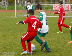 TSV Weilheim E2-Junioren vs. SGM Neckartenzlingen u. a.