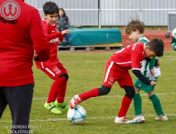 TSV Weilheim E2-Junioren vs. SGM Neckartenzlingen u. a.
