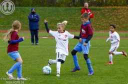 TSV Weilheim E3-Junioren vs Neuffen Täle (8.11.2025)