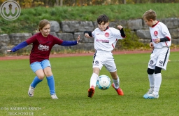 TSV Weilheim E3-Junioren vs Neuffen Täle (8.11.2025)