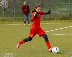 TSV Weilheim E-Juniorinnen vs SGM Reichenbach (22.11.2025)