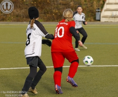 TSV Weilheim E-Juniorinnen vs SGM Reichenbach (22.11.2025)