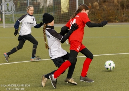 TSV Weilheim E-Juniorinnen vs SGM Reichenbach (22.11.2025)
