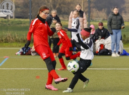 TSV Weilheim E-Juniorinnen vs SGM Reichenbach (22.11.2025)