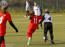 TSV Weilheim E-Juniorinnen vs SGM Reichenbach (22.11.2025)