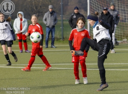 TSV Weilheim E-Juniorinnen vs SGM Reichenbach (22.11.2025)