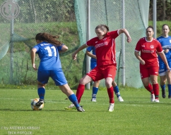 TSV Weilheim Frauen - VfL Kirchheim (28.9.2025)