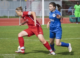TSV Weilheim Frauen - VfL Kirchheim (28.9.2025)