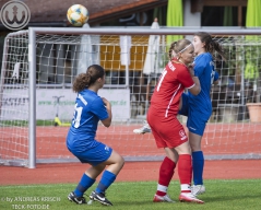 TSV Weilheim Frauen - VfL Kirchheim (28.9.2025)