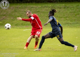 TSV Weilheim II - SG Holzmaden Ohmden (5.10.2025 // 3:3)