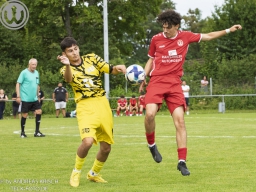 TSV Weilheim vs SG Plieningen-Birkach (12.7.2025)