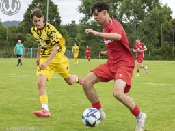 TSV Weilheim vs SG Plieningen-Birkach (12.7.2025)