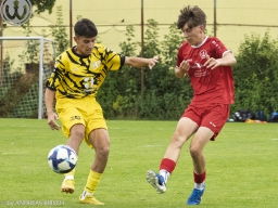 TSV Weilheim vs SG Plieningen-Birkach (12.7.2025)