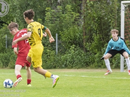 TSV Weilheim vs SG Plieningen-Birkach (12.7.2025)