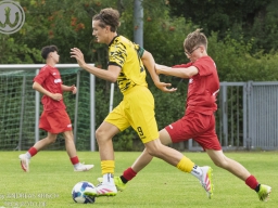 TSV Weilheim vs SG Plieningen-Birkach (12.7.2025)