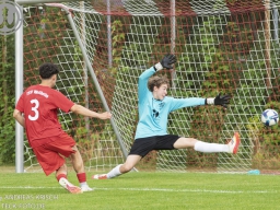 TSV Weilheim vs SG Plieningen-Birkach (12.7.2025)
