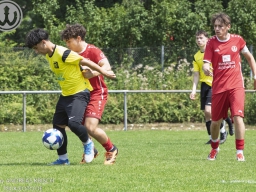 TSV Weilheim U19 - SG Weinstadt (19.7.2025)