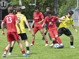 TSV Weilheim U19 - SG Weinstadt (19.7.2025)