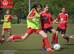 TSV Weilheim D-Juniorinene vs. TSV Deizisau (2. Mai 2026 · 0:1)