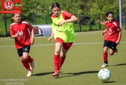 TSV Weilheim D-Juniorinene vs. TSV Deizisau (2. Mai 2026 · 0:1)