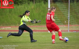 TSV Weilheim - SGM TSG Salach
