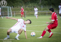 TSV Weilheim II - TSV Linsenhofen (Pokal 17.8.2025)