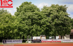 TSV Weiheim an der Teck II - SGEH II (17.5.2026 · 2:0)