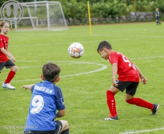 F-Junioren Turnier am 13. Juli 2024