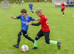 F-Junioren Turnier am 13. Juli 2024