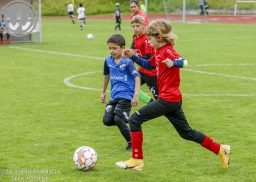F-Junioren Turnier am 13. Juli 2024