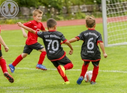 F-Junioren Turnier am 13. Juli 2024
