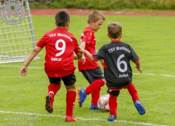 F-Junioren Turnier am 13. Juli 2024