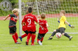 F-Junioren Turnier am 13. Juli 2024