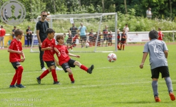 F-Junioren Turnier am 13. Juli 2024