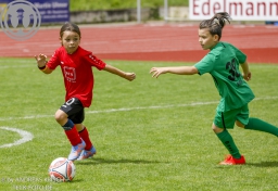 F-Junioren Turnier am 13. Juli 2024