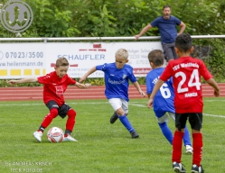 F-Junioren Turnier am 13. Juli 2024