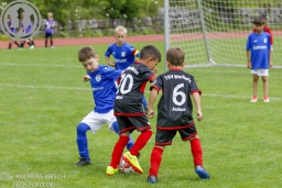 F-Junioren Turnier am 13. Juli 2024