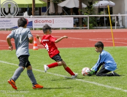 F-Junioren Turnier am 13. Juli 2024
