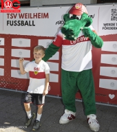 Rewe Seper Cup 2026 der Bambinis