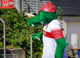 Rewe Seper Cup 2026 der Bambinis