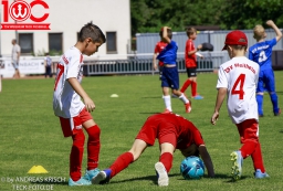 Rewe Seper Cup 2026 der Bambinis