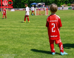 Rewe Seper Cup 2026 der Bambinis