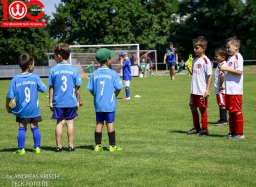 Rewe Seper Cup 2026 der Bambinis