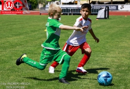 Rewe Seper Cup 2026 der Bambinis