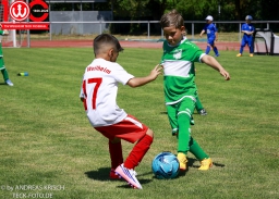 Rewe Seper Cup 2026 der Bambinis