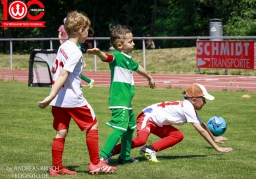 Rewe Seper Cup 2026 der Bambinis