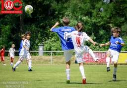 Rewe Seper Cup 2026 der D-Junioren (11.7.2026)